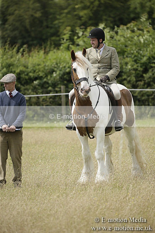 B230619-0445 - Bourne Valley Riding Club Summer Show 23/06/19