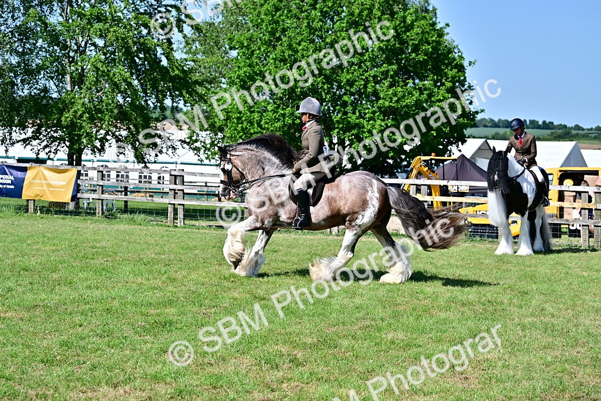 SBM_19435 - Class 101-102 - BSPS LIHS Performance Coloured Horse/Pony