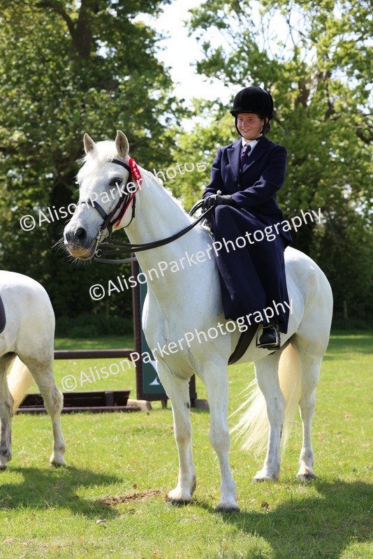 20250427-2637 - Class 20 - Working Hunter Ponies