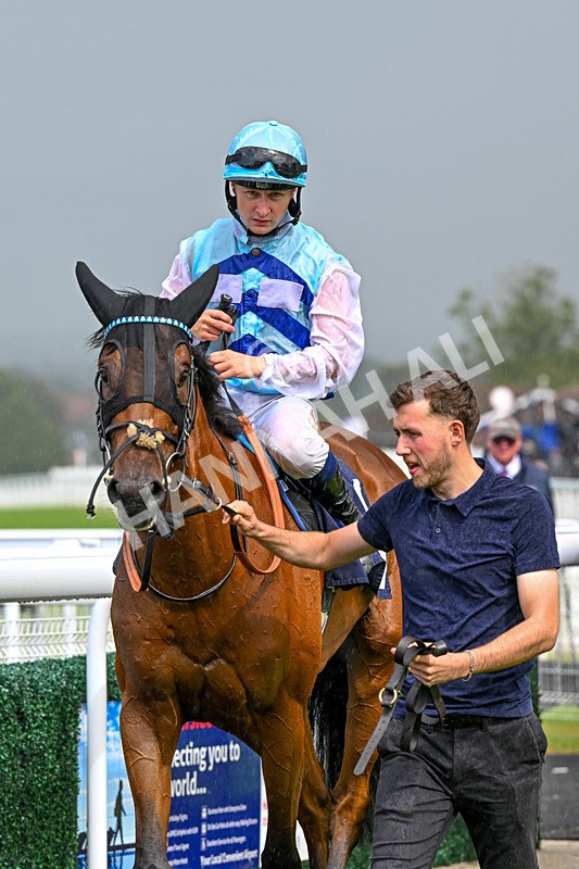 240625-Race 4-Gincident-8251 - Race 4