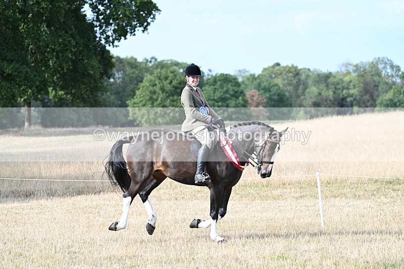 WJ7_7870 - Ridden Championship