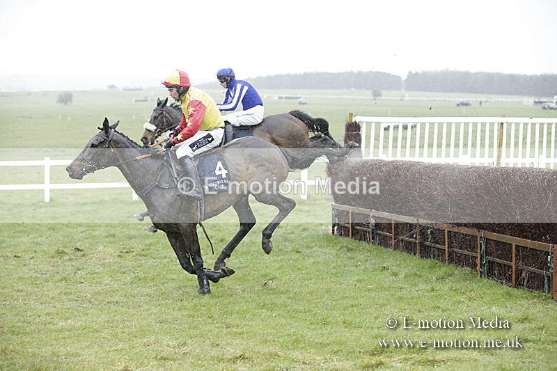 PtP 150320 0159 - New Forest Point-to-Point Larkhill 15/03/20