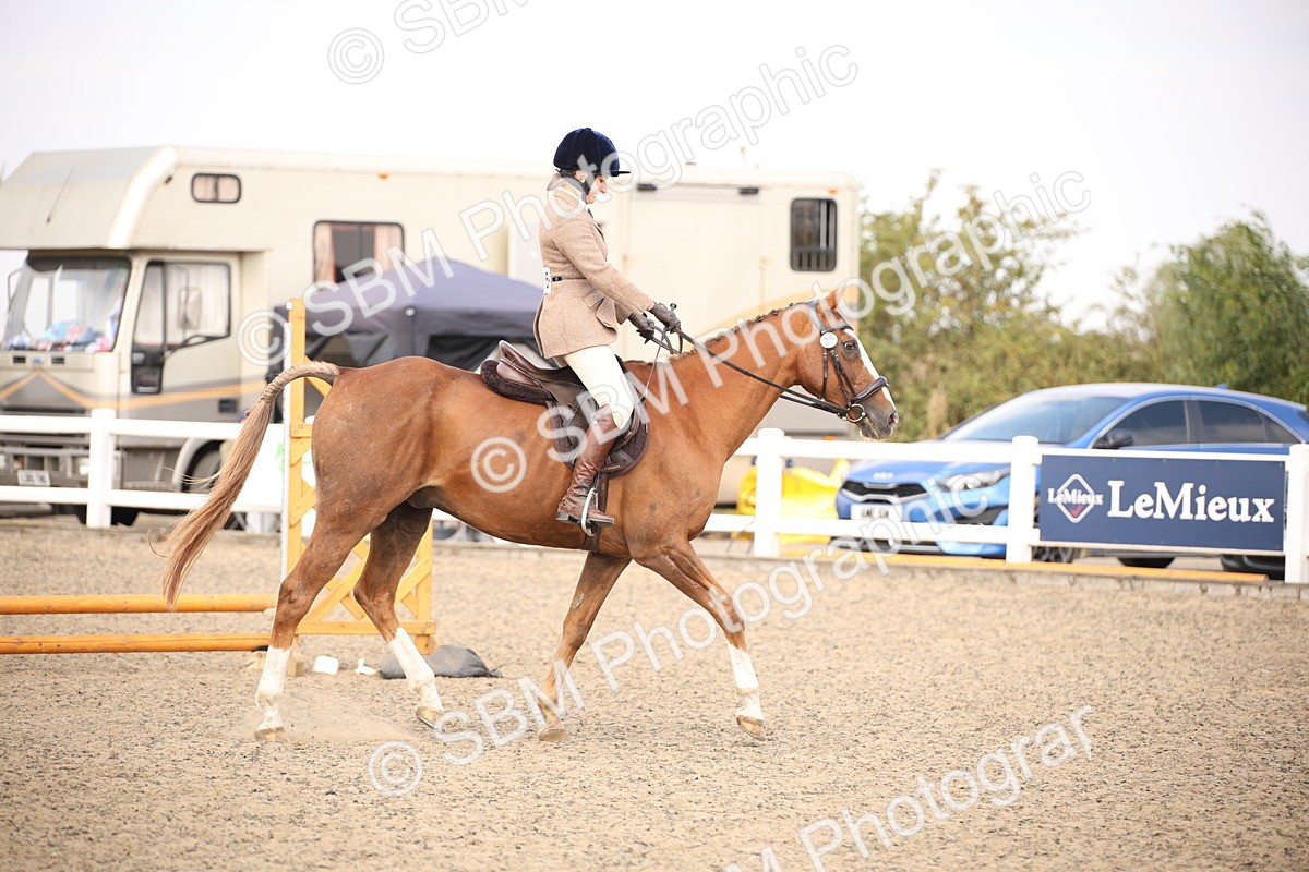 SBM_13586 - Class 406b - Working Veteran 50cm (20+)