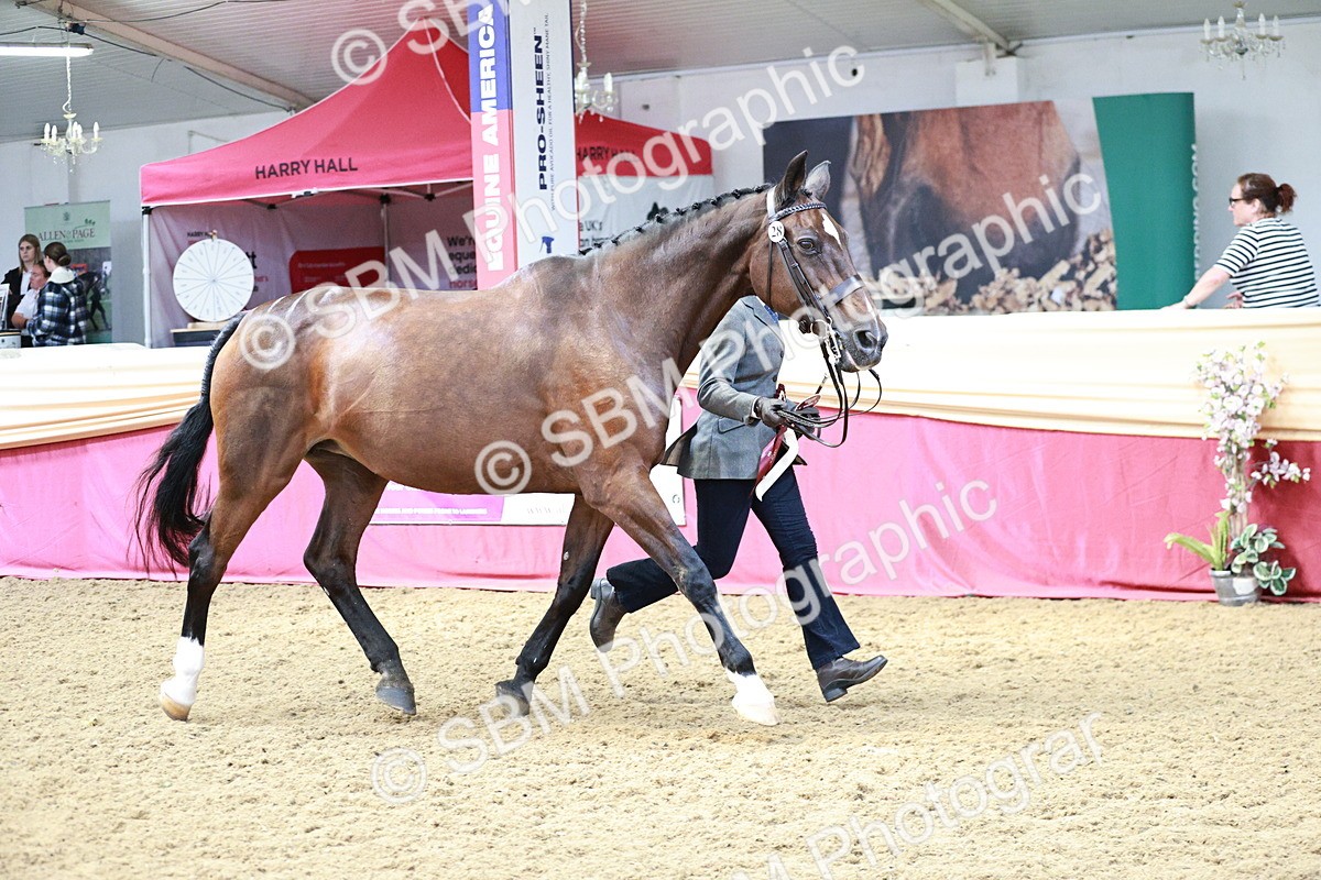 SBM_04902 - Class 7R - Regional IH Diamond