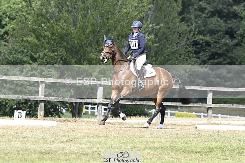 250822A-120025-22521 - DR 11.00 to 12.00