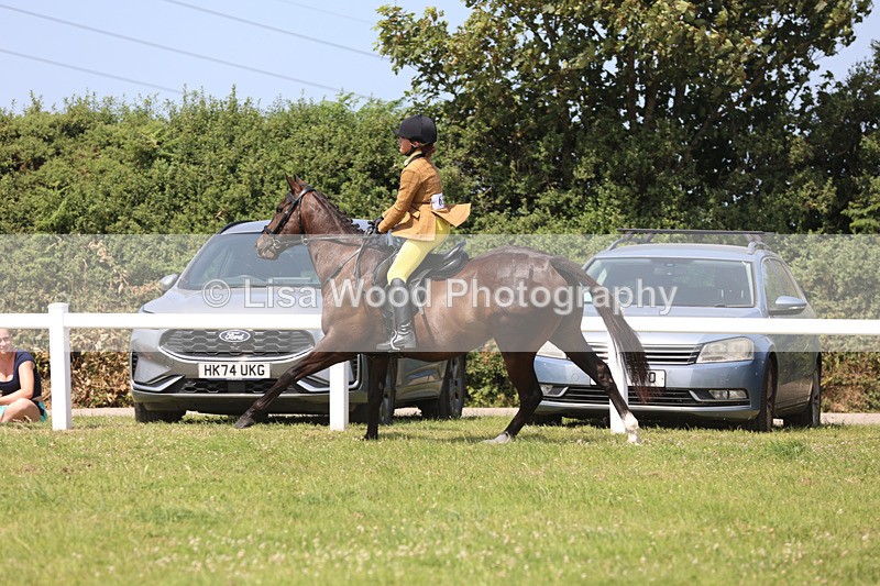 JPP_3307 - Class 22: Working Hunter 70cm