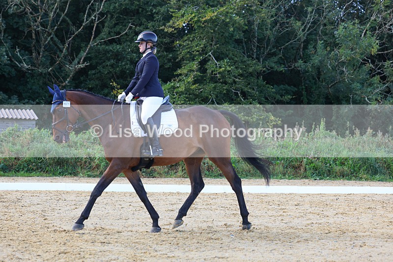 3E7A2522 - Class 1: Intro 4 2024 section A