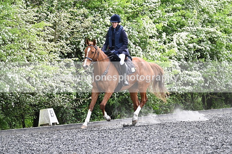 WJ7_0817 - Time 14:01 to 14:12