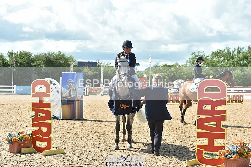 230723A-160316-13243 - Cls 16, 1 Star Bronze 1.15m