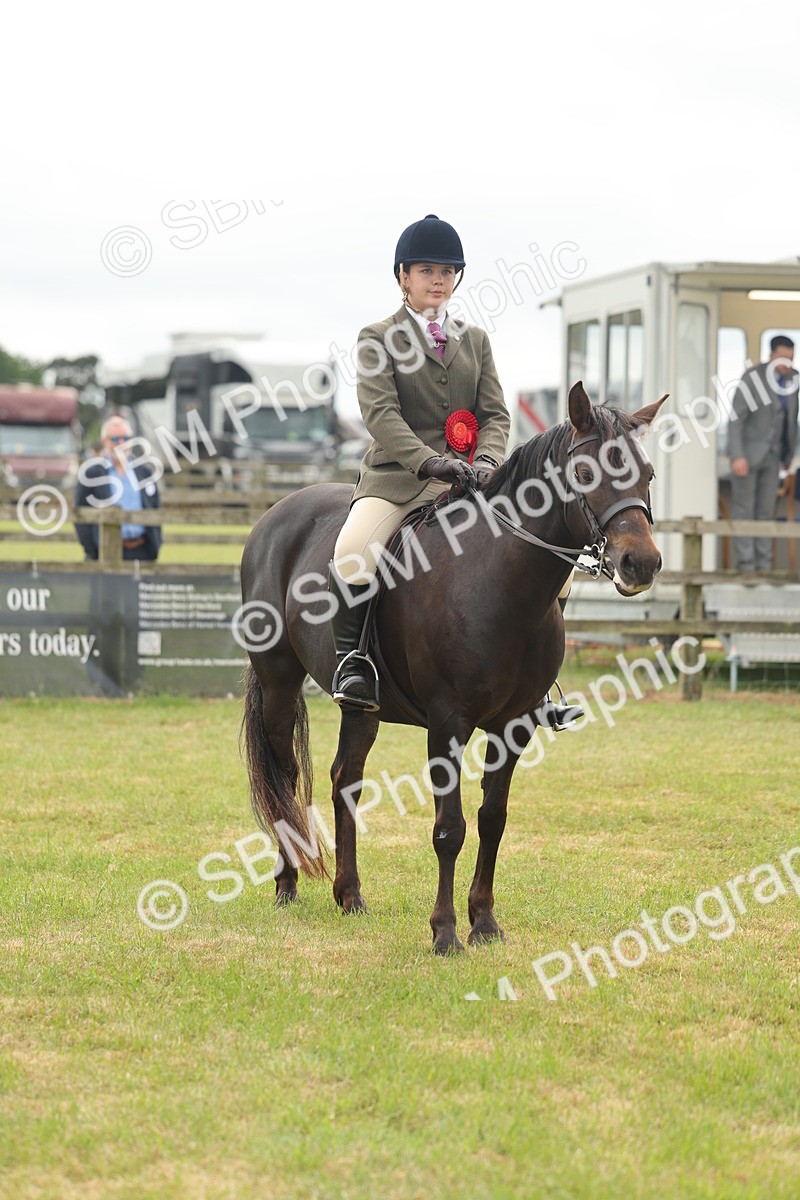 SBM_09141 - Class 78-80 - Ridden M&M Non Welsh Ponies