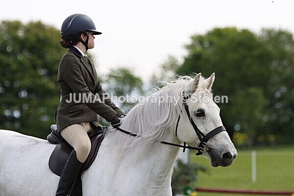 IMG_2491 - Working Hunter