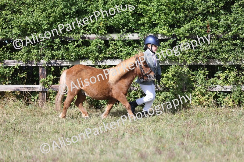 20250831-1609 - Previous show - Lambourn 2025