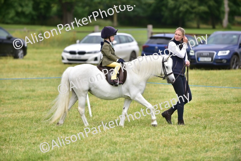20260614-4168 - Class 17 - Best Mane and Tail