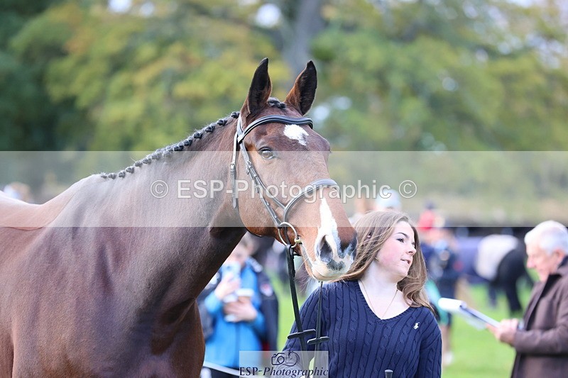 251026A-102541-22977 - E-385-Delilah.Wood