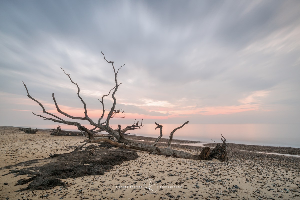 Remnants - Covehithe