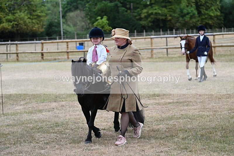 WJ7_7991 - Class 4 Prettiest Mare up to 14.2hh