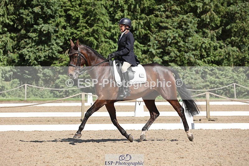 240719-155636-02998 - 237-Sue_Lanz-Wellshead_Foxtrot