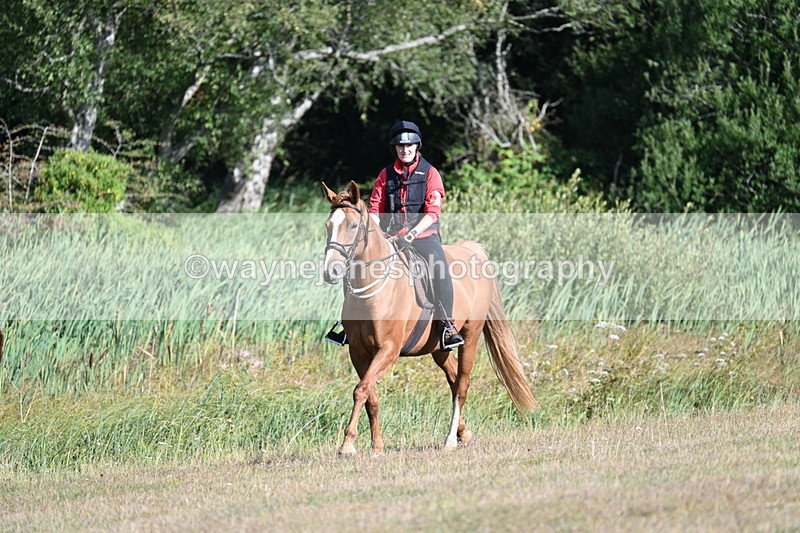 WJ7_3176 - Time 09:42 to 10:02