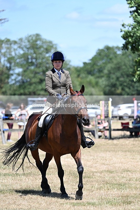 WJ7_3039 - Class 7 Riding Club Show Horse