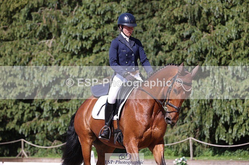 230526-162745-07823 - 171-SLANEYSIDE_COOLEY-Lara_Chapple-WEDTrotUp+DR