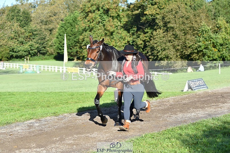 231022-104316-22692 - 496-HIGHDALE.AUTUMN.SUNRISE-Vicky.Stacey-TrotUp+SJ