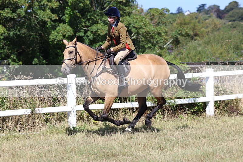 3E7A6424 - Working Hunter Championship
