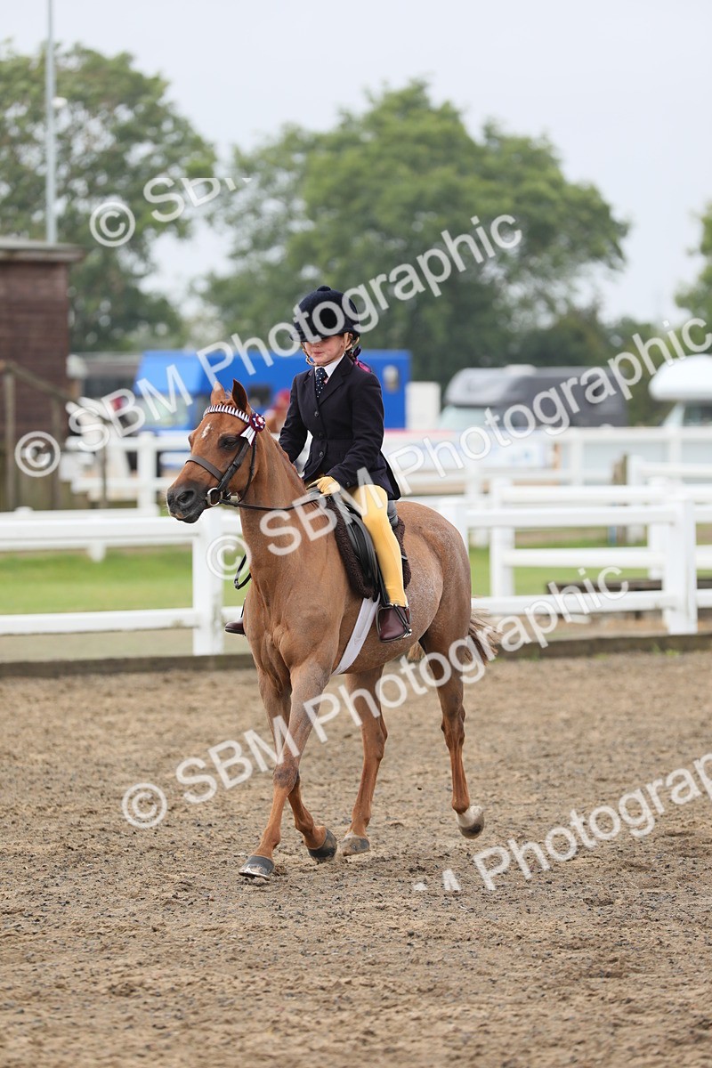 SBM_21786 - Class 806 - Young ridder 10 Yr & Under