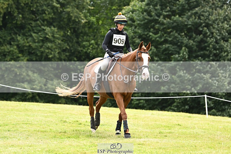 240825X-124049-33326 - 70cm XC 12.00 to End