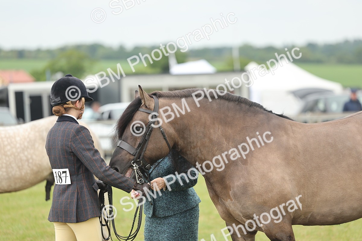 SBM_08987 - Class 78-80 - Ridden M&M Non Welsh Ponies