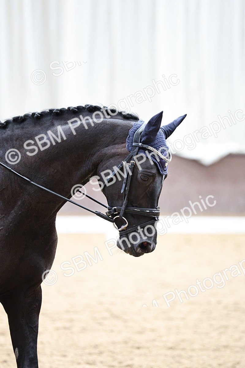 SBM_001118 - Class 5 - Novice 6