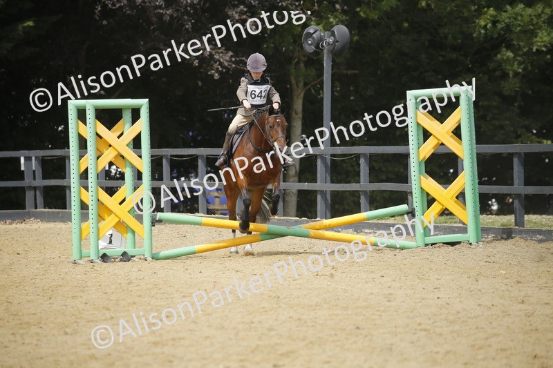 20250622-4074 - 50cm