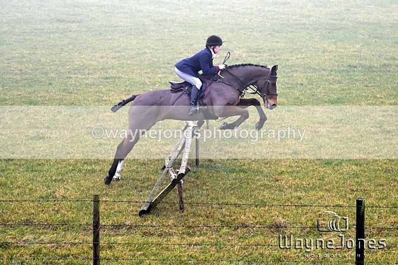 WJ7_3182 - Edited examples
