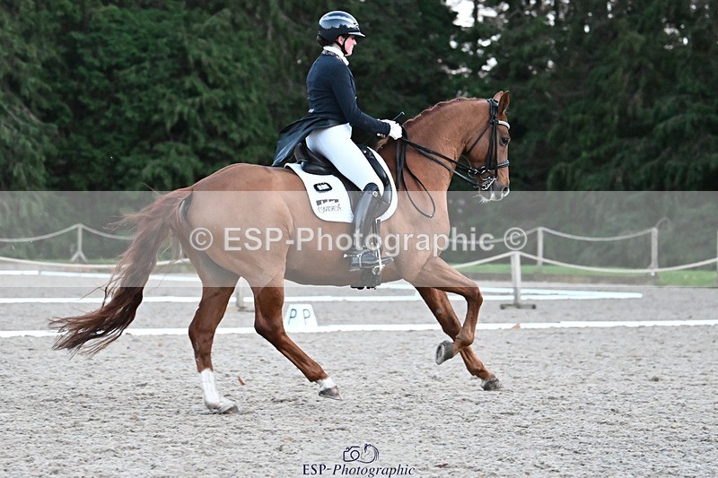 231110-163942-02712 - Cls 14 FEI Grand Prix