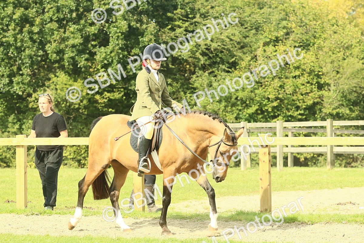 SBM_67374 - S56 - Coloured Pony Ridden