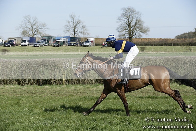 PtP 250317 115 - V.W.H. Hunt Point-to-Point Siddington 25/03/17