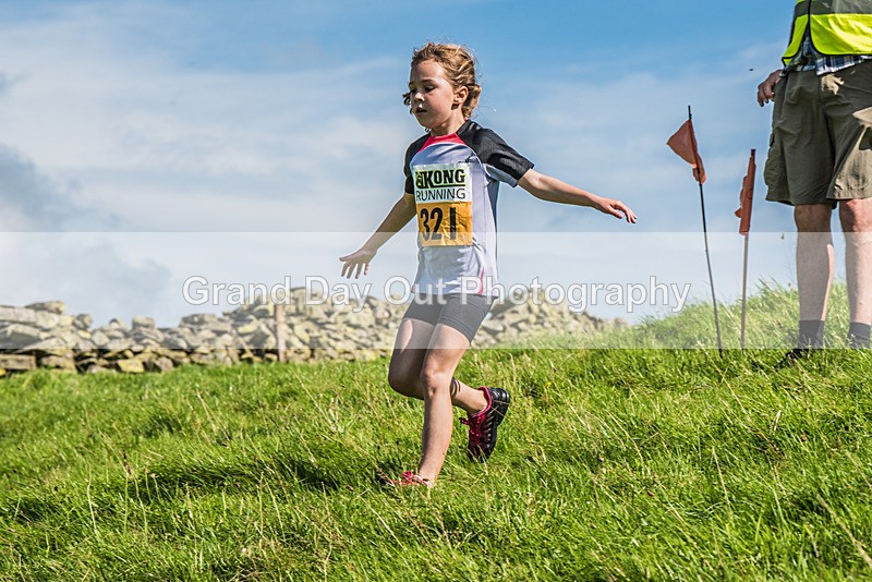 Loweswater Show-72 - Loweswater Show Junior & Senior Fell Races Sunday 3rd September 2023