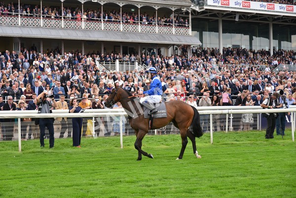 yr20082021r4-45 - Race 4 3.35pm Coolmore Wootton Bassett Nunthorpe Stakes (British Champions Series Race)