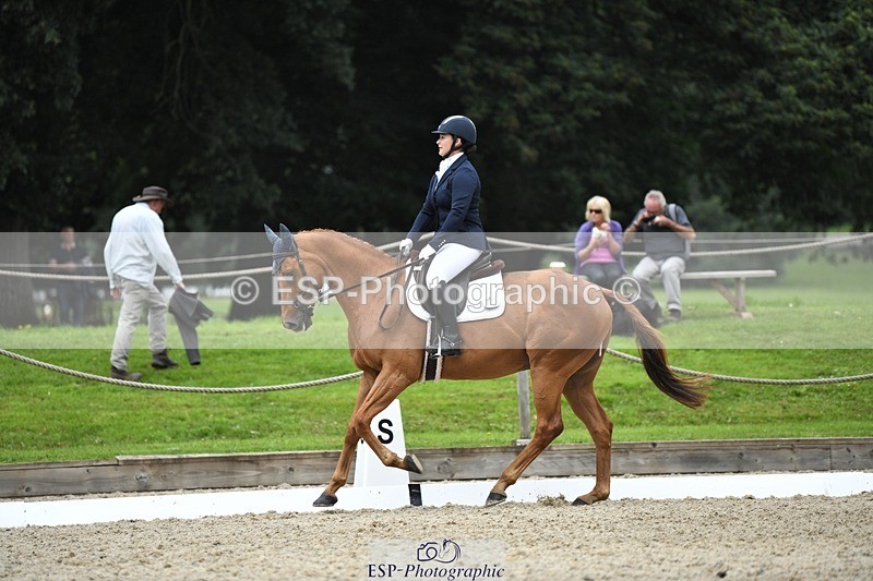 230812-122741-04124 - Cls 6 Novice Silver 12.10 to End