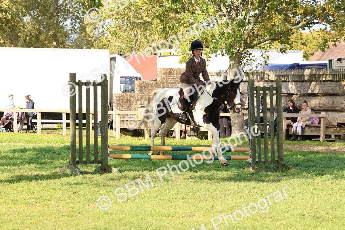 SBM_52602 - S13 - Pony Club Pony