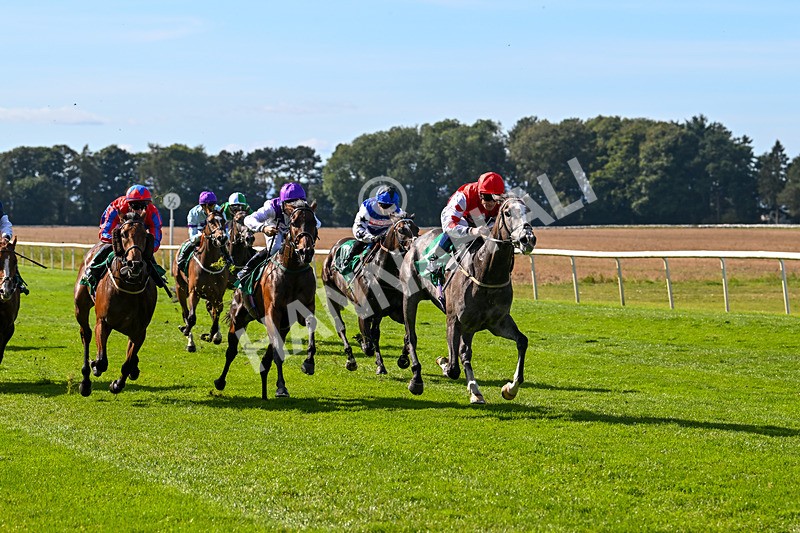 160924-Race 2-Magic Love-2637 - Race 2