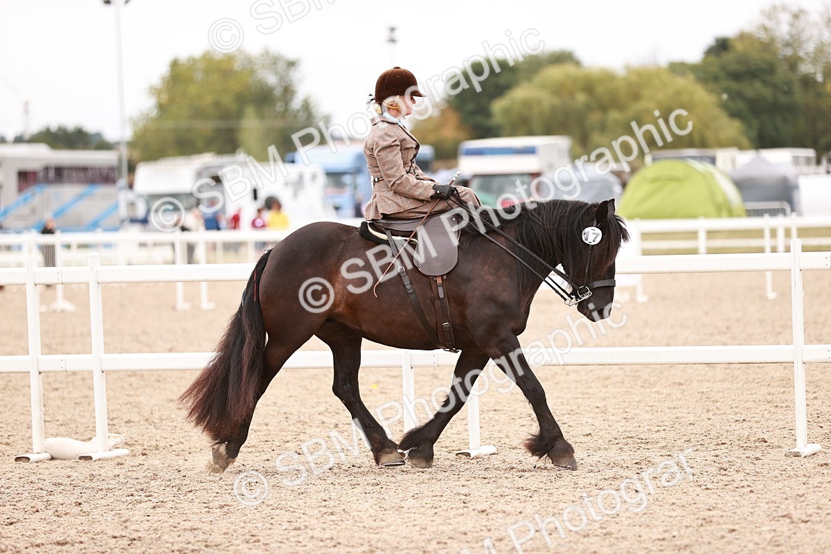 SBM_18949 - Class 422 - Ridden M&M