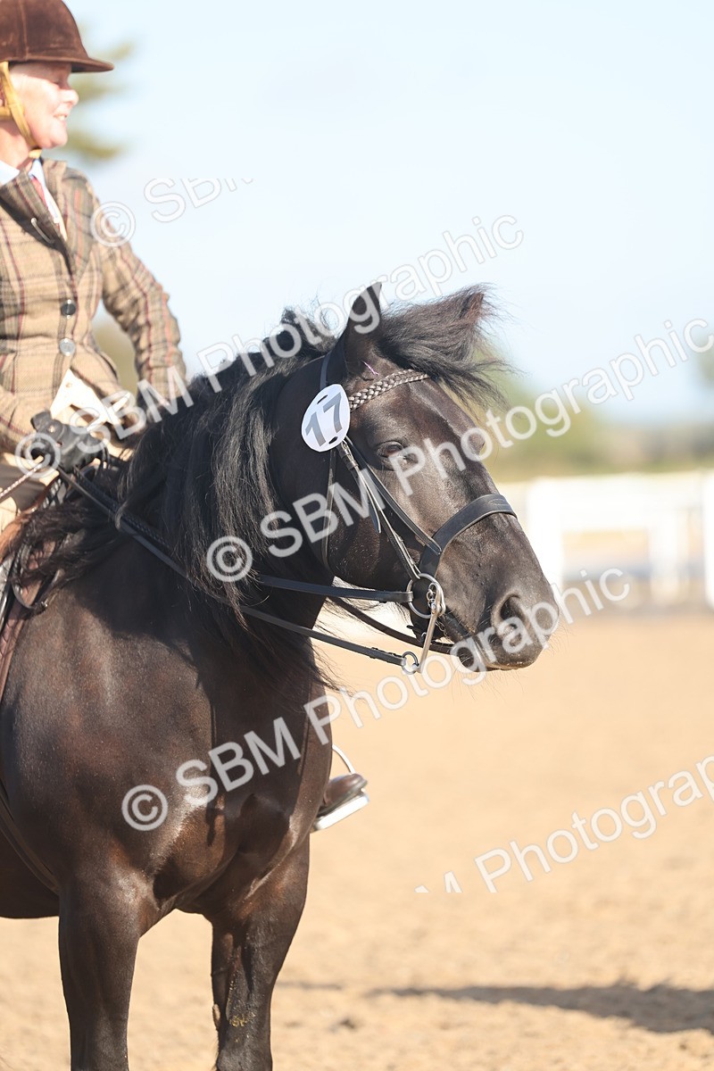 SBM_22131 - Class 801 - Ridden Veterans