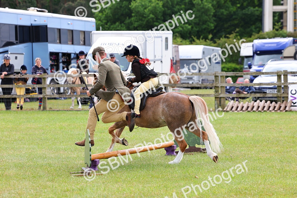SBM_08178 - Class 42-43 - LIHS BSPS Heritage Working Sports Pony