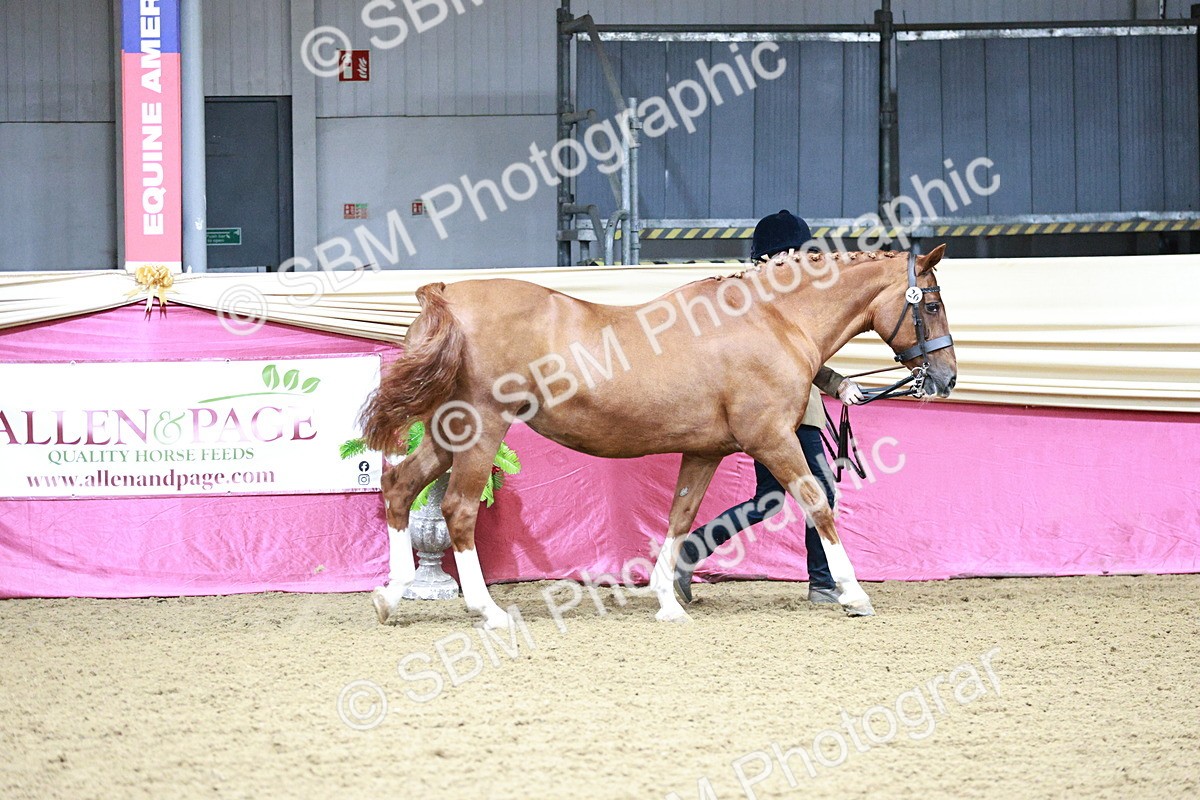 SBM_00133 - Class 1A - Area IH Diamond