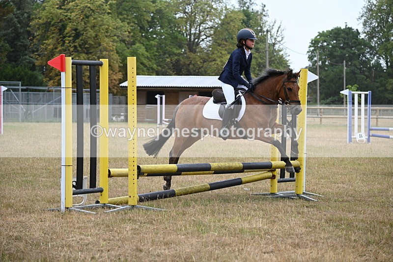 WJ6_0007 - Class 13 Novice Jumping 60cm