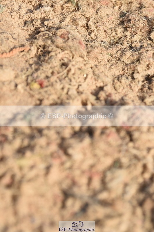 230915A-103616-00185 - Cls 9 British Novice & 90cm Open