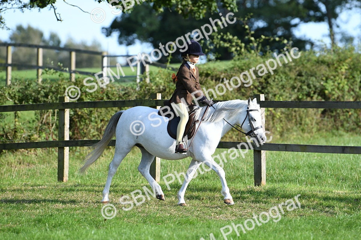 SBM_54010 - S23 - 1st Ridden Mountain & Moorland Pony