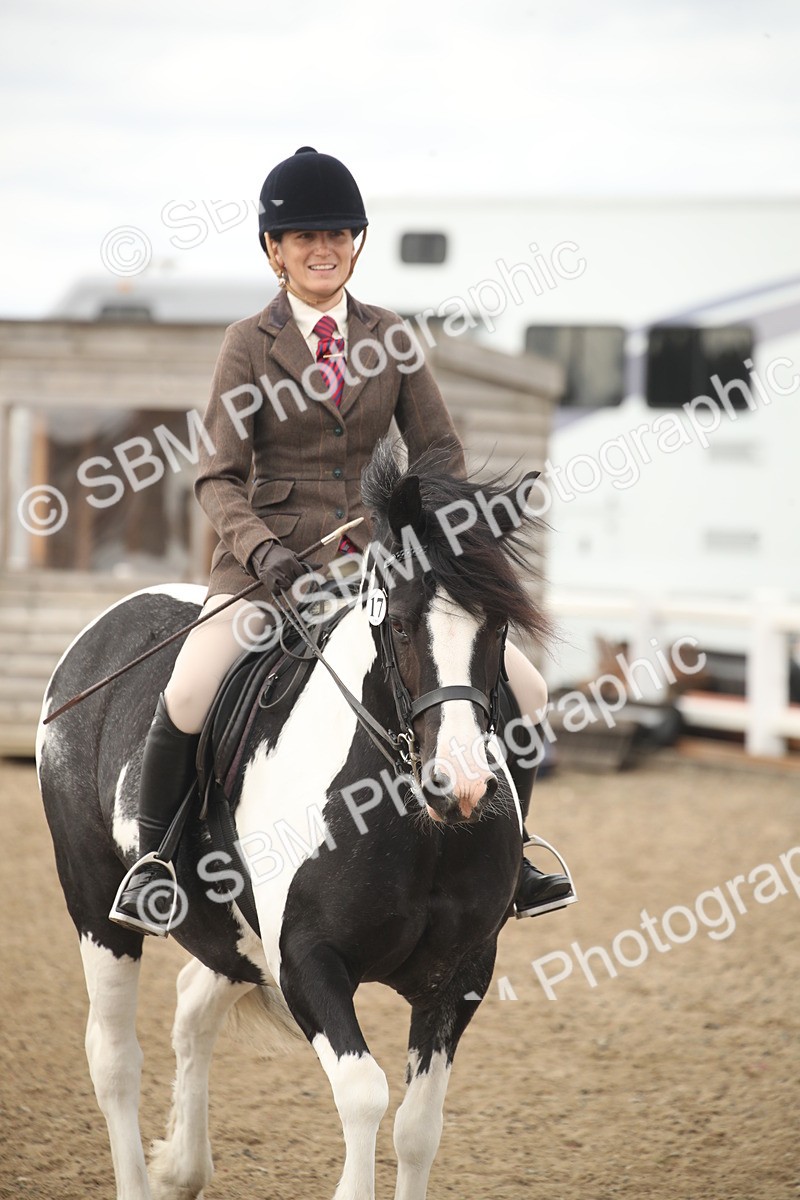 SBM_17633 - Class 508a - Working Veteran 70cm (15-19)