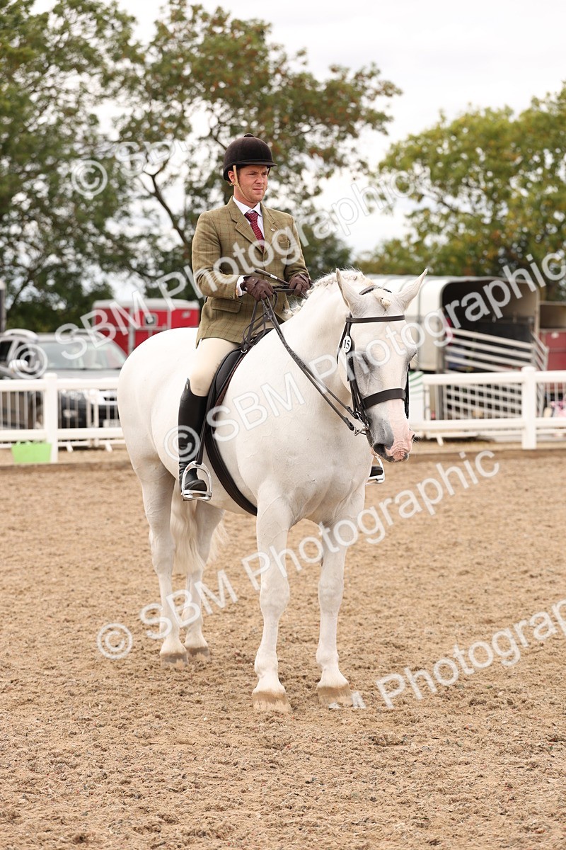 SBM_17264 - Class 213 - Ridden Hunter - Large