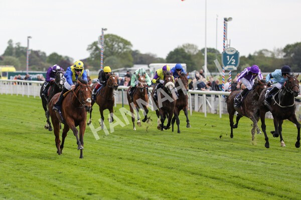 yr12052022r4-42 - Race 4 3.35pm Al Basti Equiworld Dubai Dante Stakes